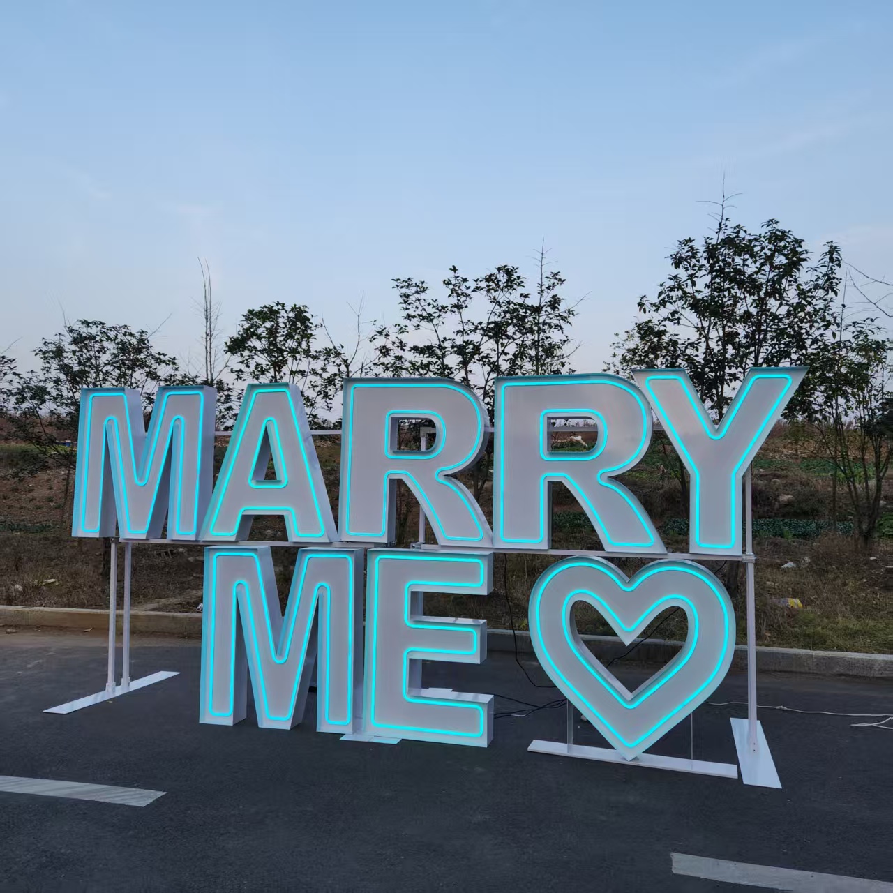 MARRY ME Металлическая RGB LED – обзор и цена Event Party Supply Rental